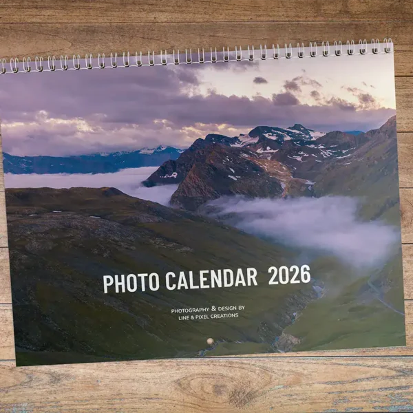 cover Wall calendar 2026