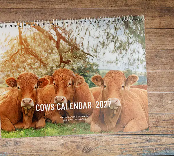 Voorpagina van de fotowandkalender Gentle Characters 2027 met drie rustende koeien in een groen landschap.