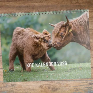 cover cow calendar