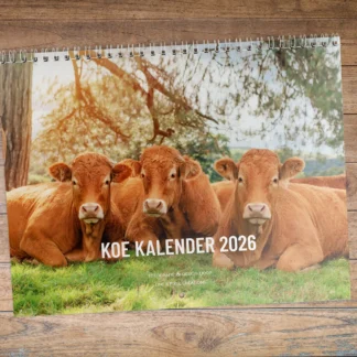 cover cow calendar