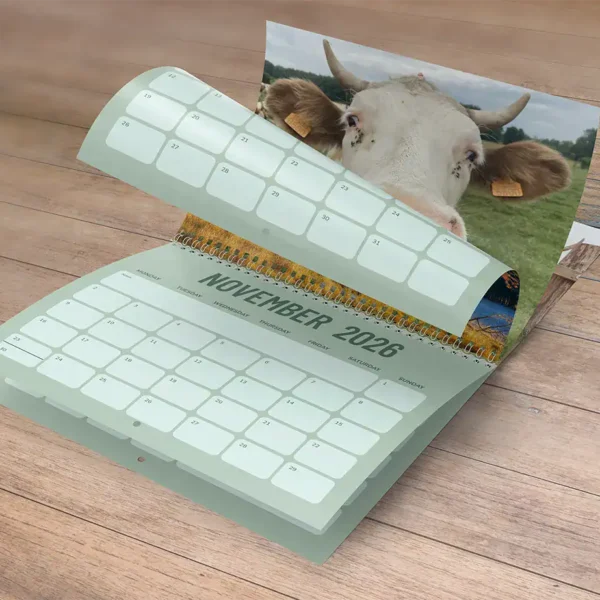 cow calendar