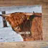 2026 Cow Calendar: A Year of Rustic Charm  (NL)🐄