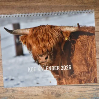 cover koe kalender