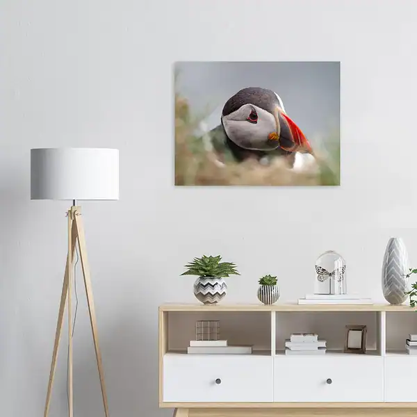 08ed3989-47a7-4d56-81b0-5a2bce1f062e