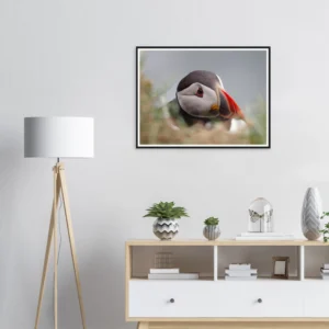 4d1e4fea-c4f0-4dd9-8bcc-8f80d6d159c3