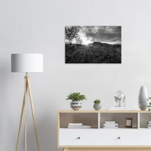 7c3ba1da-86c3-436a-a04d-6a304bf33ee8