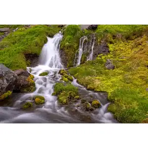 Moss & Water – Below Dynjandi, Iceland
