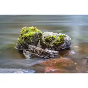 Moss & Stones – Finland