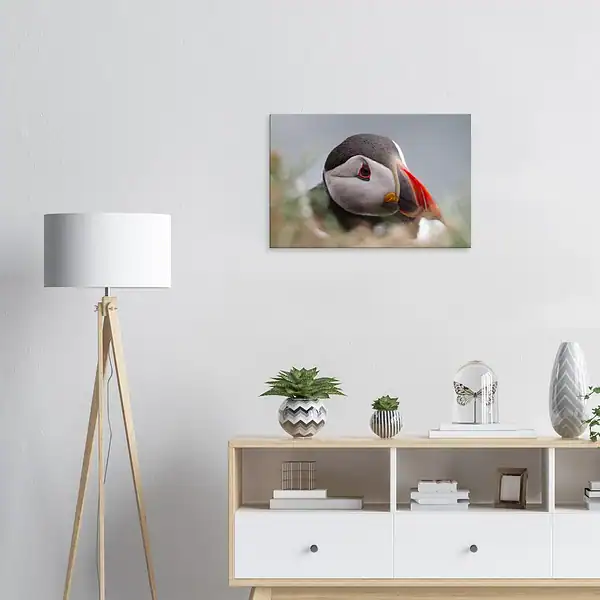 e9c12131-269a-4b96-8d3f-359a195fa7e9