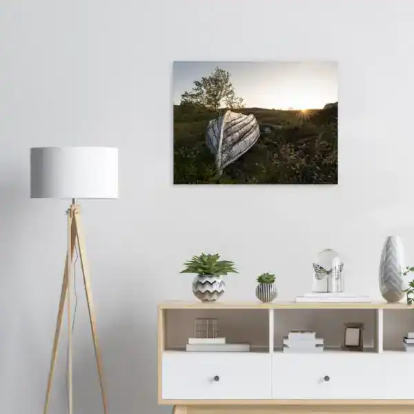 f368c434-faf7-49af-ae0c-27e297e14d0c