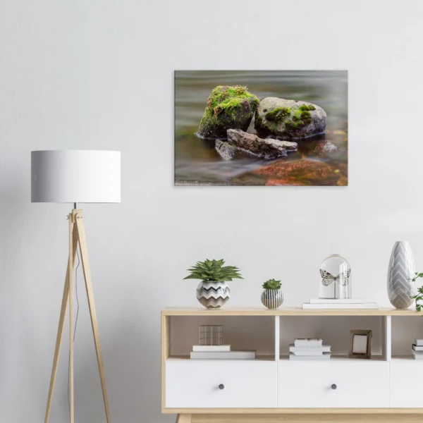 c8dfc86e-964d-4a71-94f1-ce4e731393e1