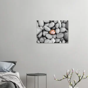 The Exception Canvas