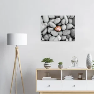 The Exception Canvas