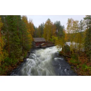 Autumn at the Stream Oulanka NP – Finland