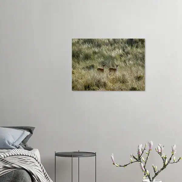 Quiet Encounter – Netherlands