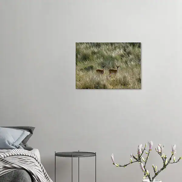 Quiet Encounter – Netherlands