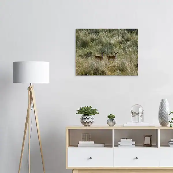 Quiet Encounter – Netherlands