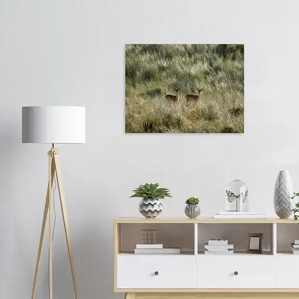 Quiet Encounter – Netherlands