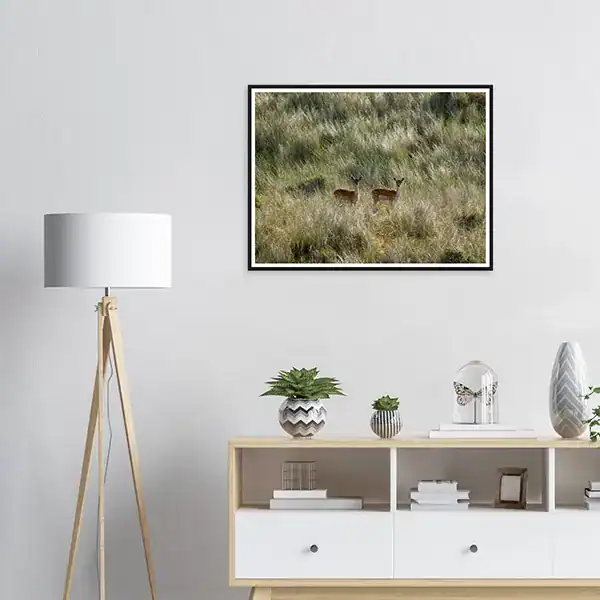 Quiet Encounter – Netherlands