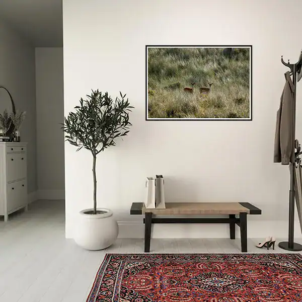 Quiet Encounter – Netherlands