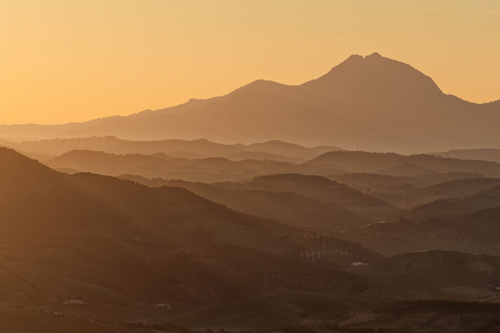 Golden Hills of Andalusia – Spain 2026